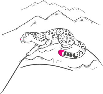 Snow_Leopard_image_1@4x.png