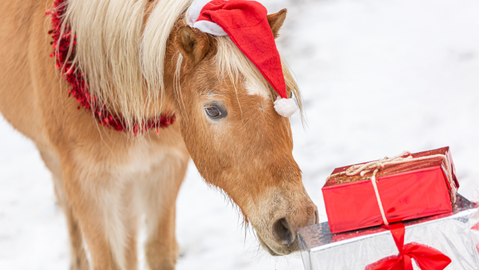 A horse wearing a Christmas hat is curious about the wrapped presents in front of them