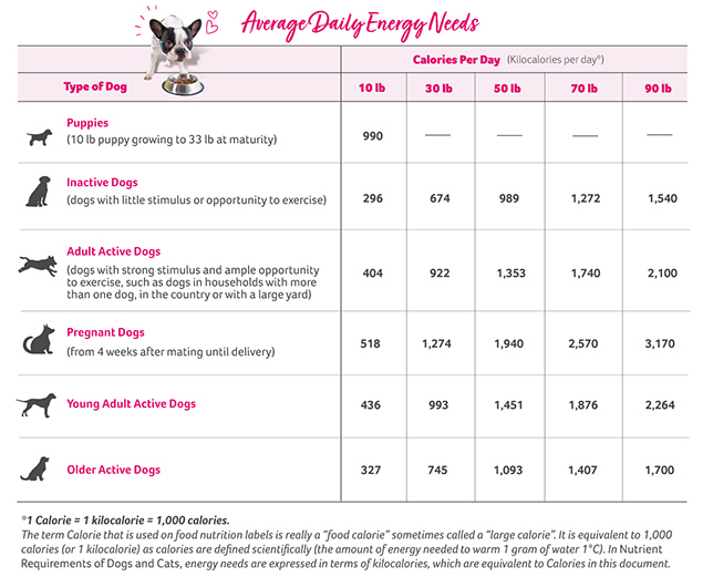 a chart of calories needed for dogs