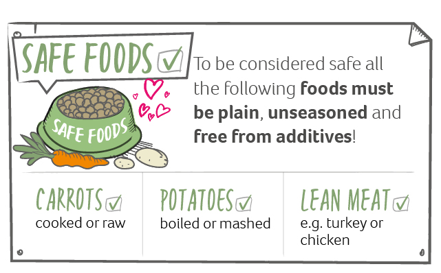 An illustration of dog safe foods
