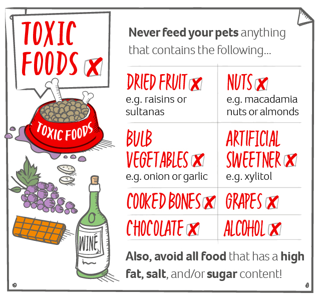A graphic of dangerous foods