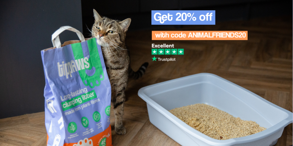 cat and litter