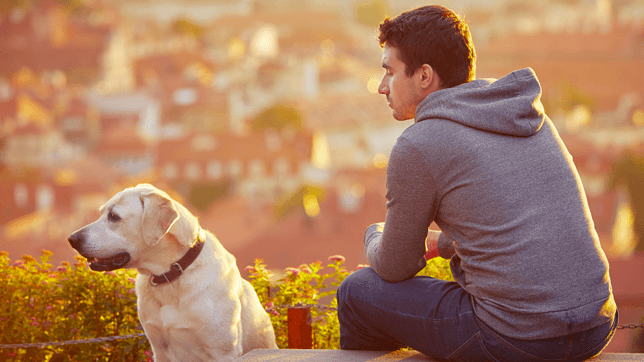 a man overlooking a city with his dog