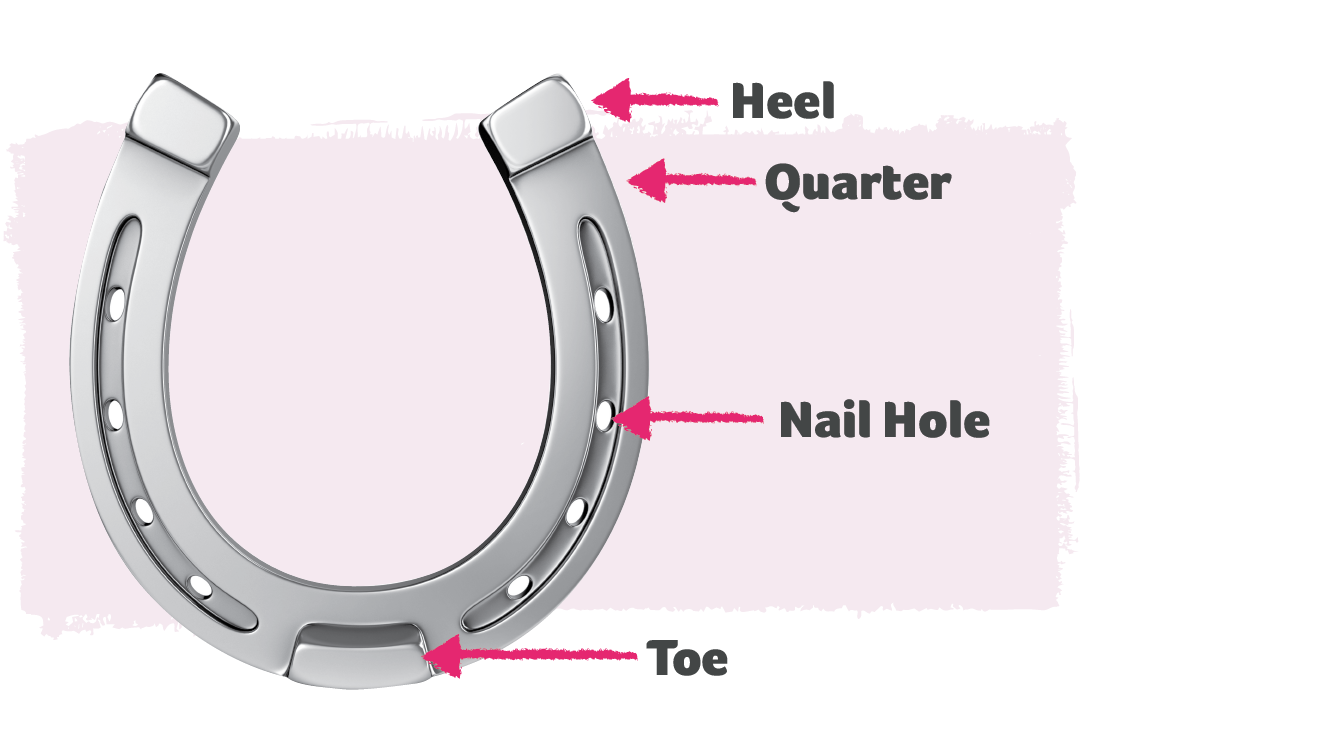 Illustration of horse shoe