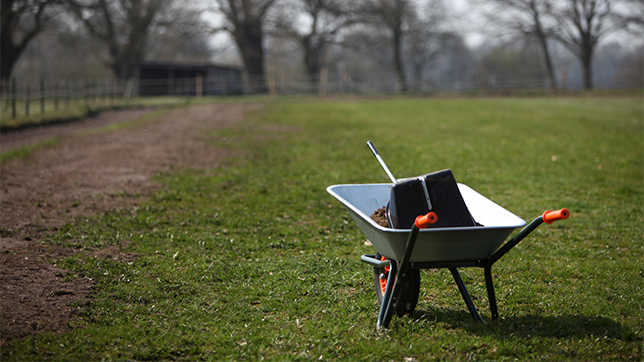 A wheelbarrow in a horse's field.