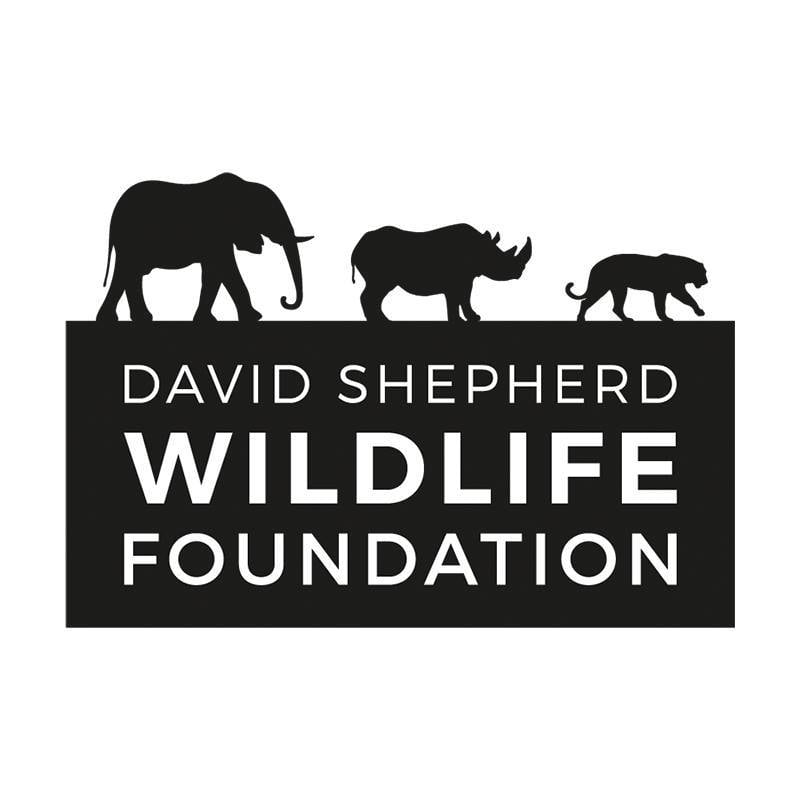 david shepherd logo