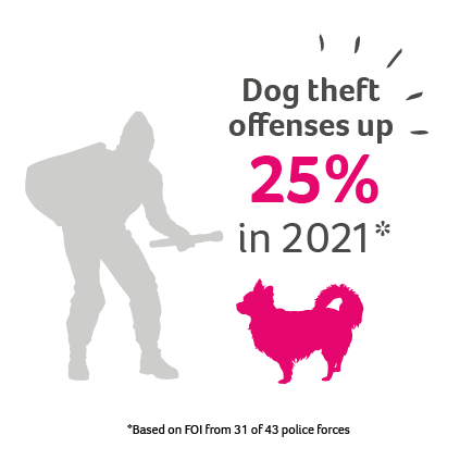 pet theft statistics