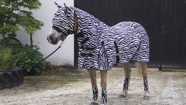 A horse wearing a zebra-print rug.