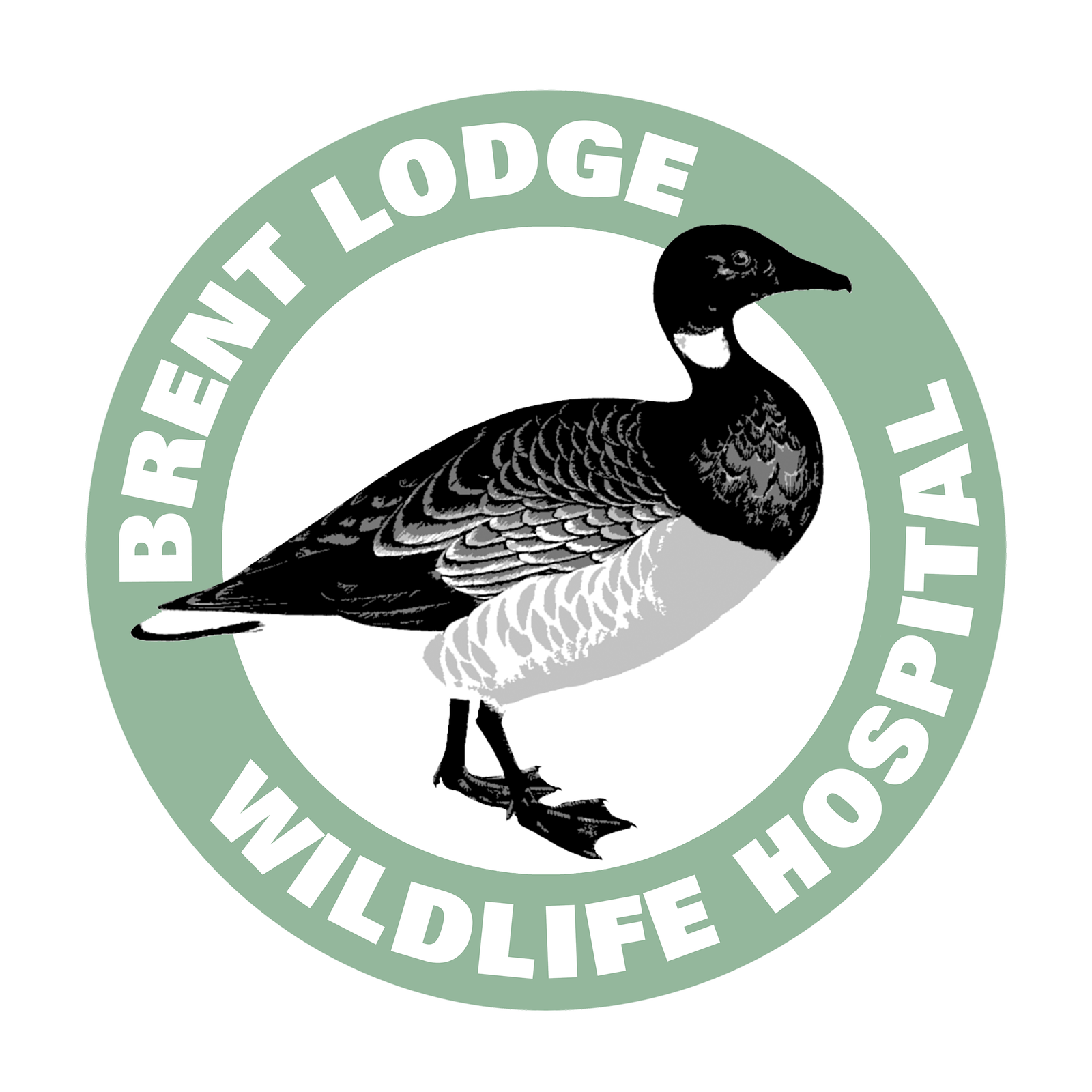 Brent Lodge bird and wildlife trust logo