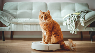 A ginger cat sat on a robot vacuum cleaner