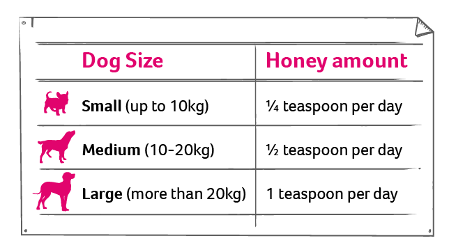 an infographic of amounts of honey for dogs