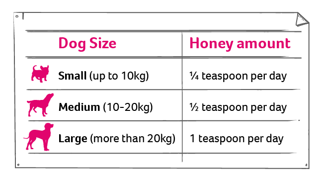 an infographic of amounts of honey for dogs