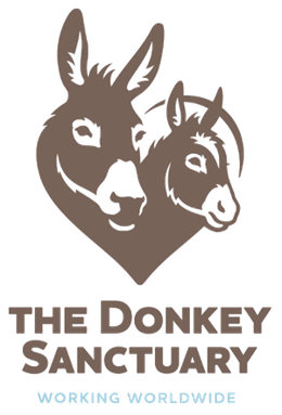 the doney sanctuary logo.png
