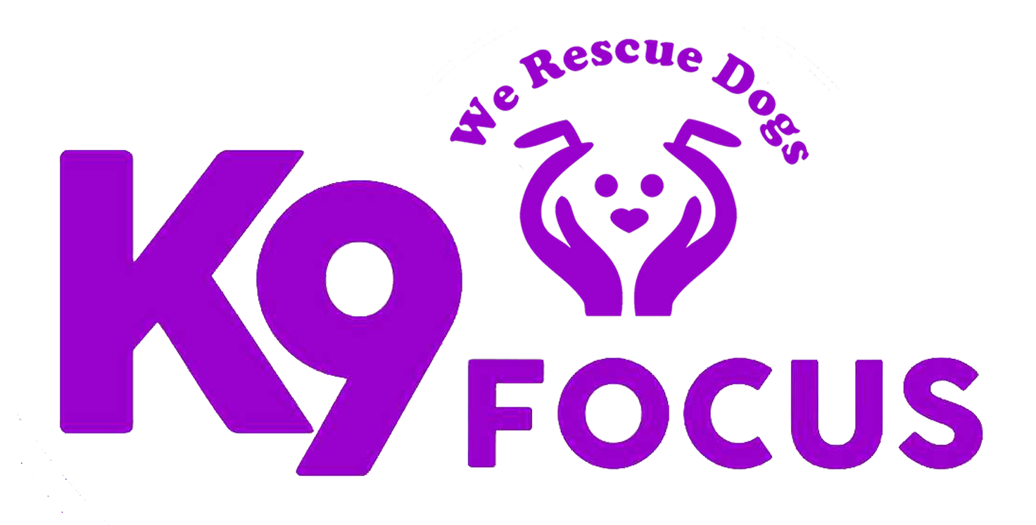 K9 Focus Logo