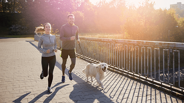 a couple running with their dog