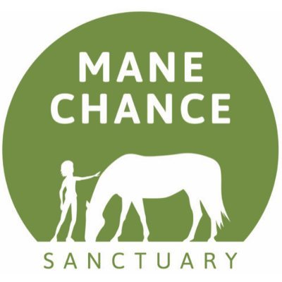 Mane Chance logo
