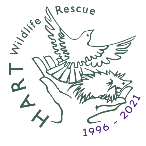 HART wildlife rescue logo