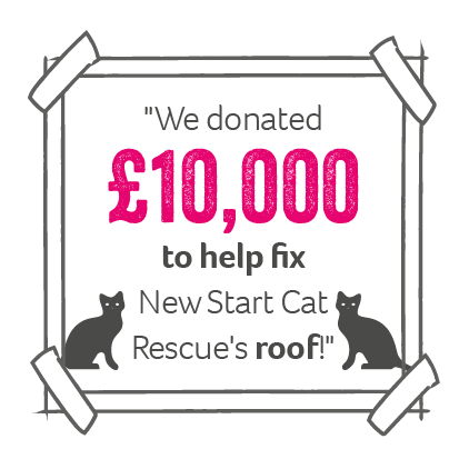 a graphic reading "we donated £10,000 to help fix New Start Cat Rescue's roof" with two illustrated cats