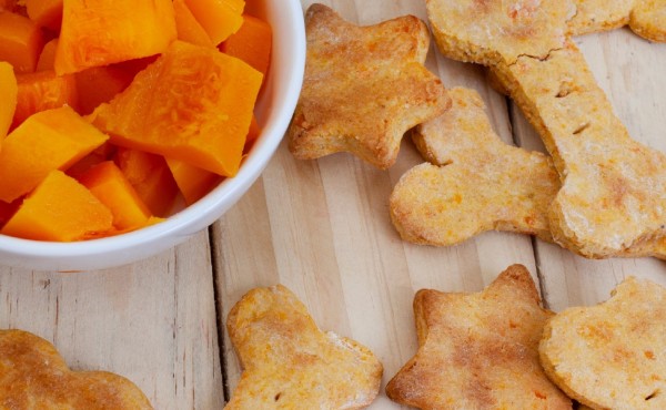 Butternut squash homemade dog treats