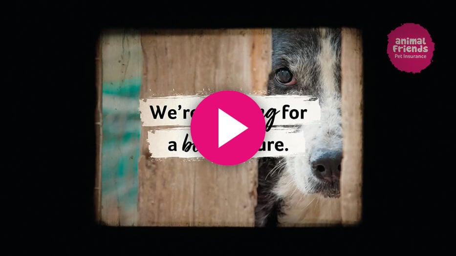 A video still 