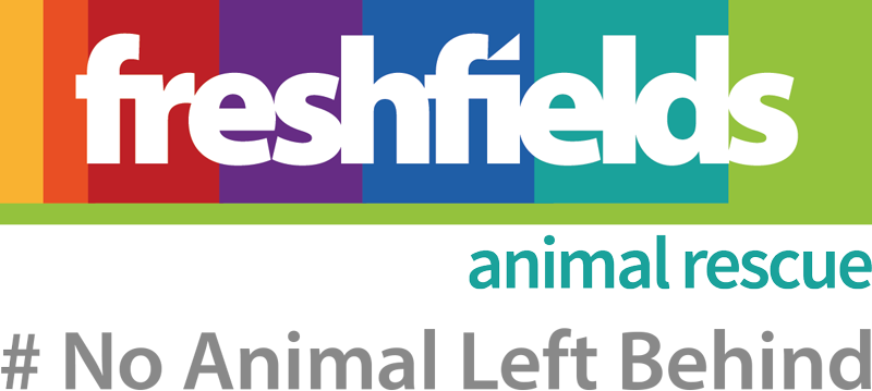 freshfields logo.png