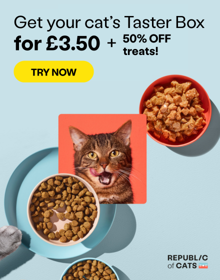 Cat surrounded by pet food