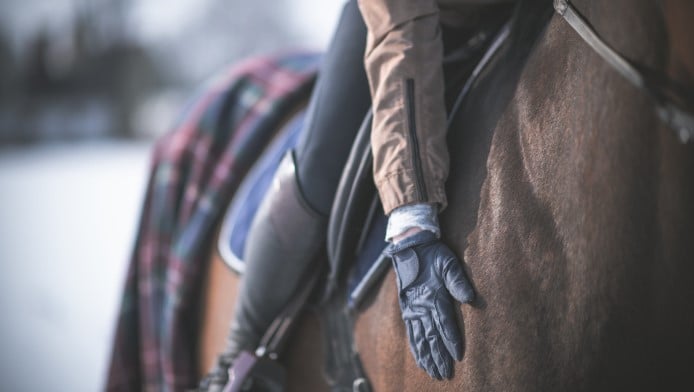 A horse and rides, with the focus being on the riders hand and gloves