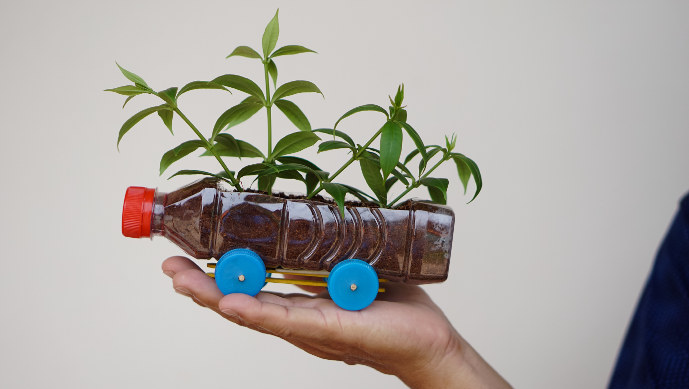A planter made from a recycled bottle, with seedlings