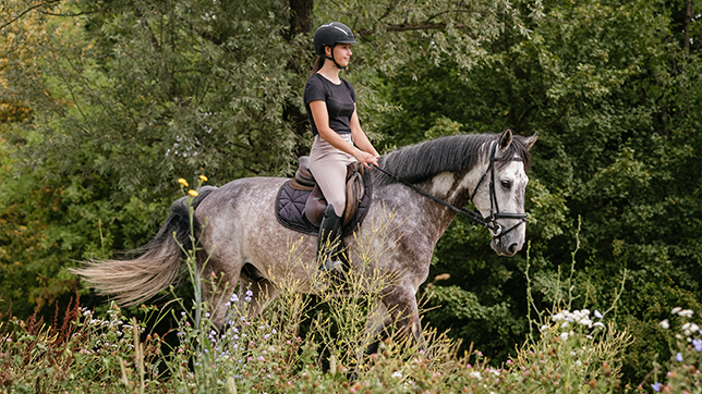 Horse rider on a grey horse walking through a field