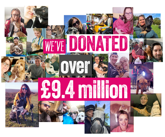 Graphic of the charity donations over collage of colleagues with pets
