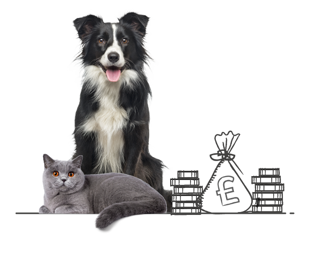 Pet Affordability Hub Animal Friends