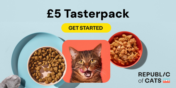 Cat and bowl of food £5 Taster offer
