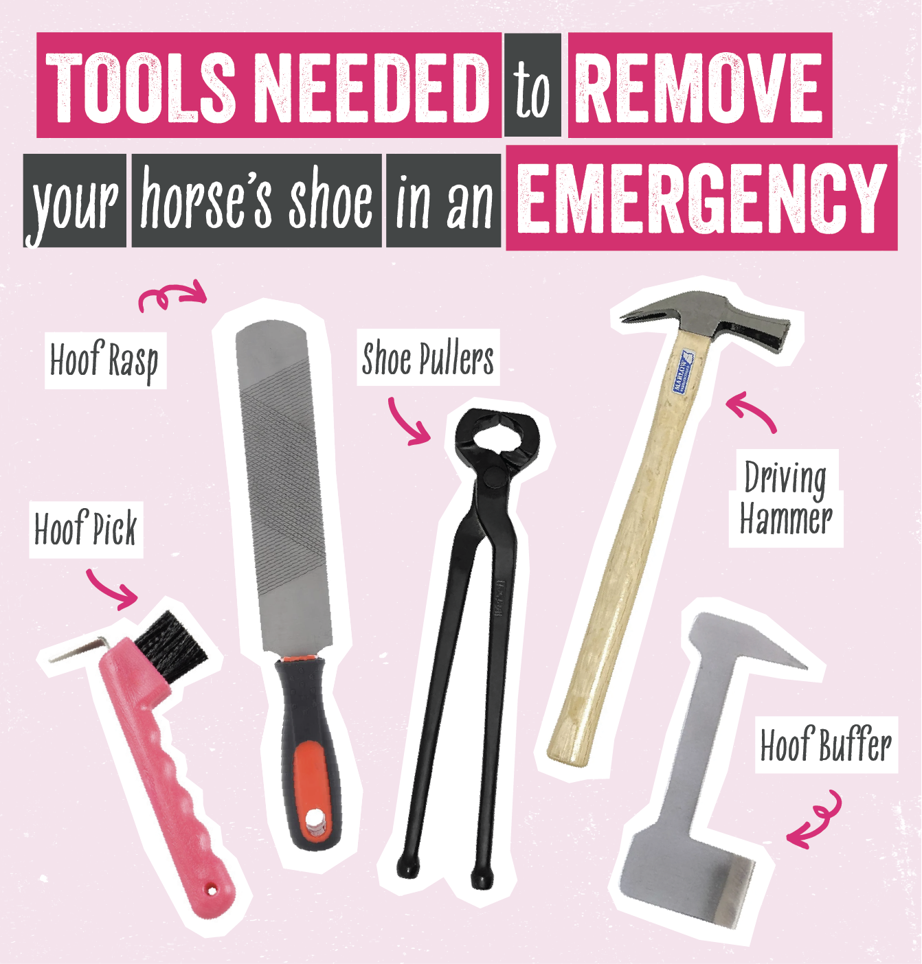 an infographic depicting the tools needed to help remove a horse's shoe