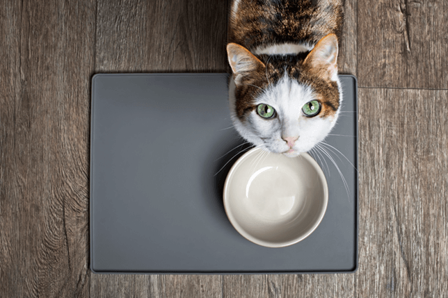 Indoor cats go through the same metabolic change