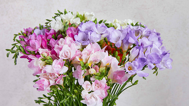 A bouquet of colourful flowers 