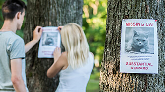 Missing cat poster on a tree
