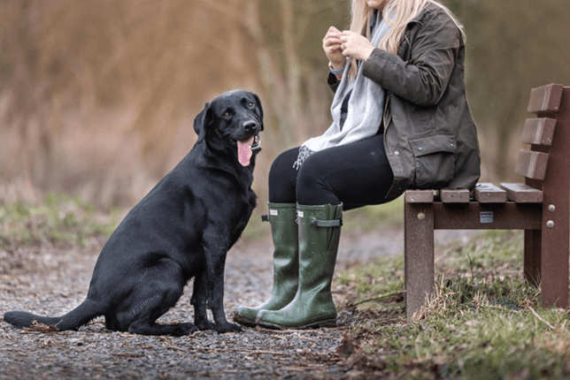 Understanding how your dog learns, and keeping interactions simple and consistent can make success easier to achieve