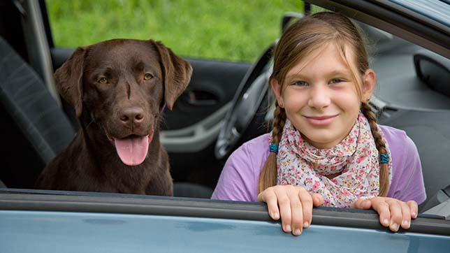 Dog and a young girl sat in a car
