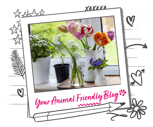 Common poisonous plants and flowers toxic to dogs Animal Friends