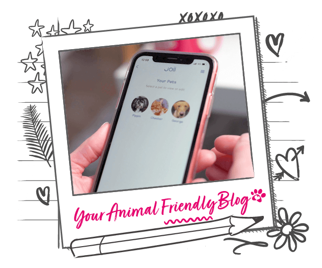 Joii Pet Care Behavioural Consultation Animal Friends