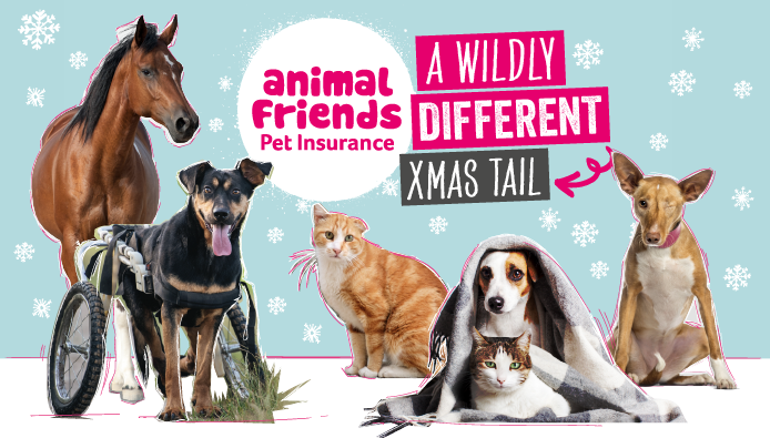 A wildly different xmas tail