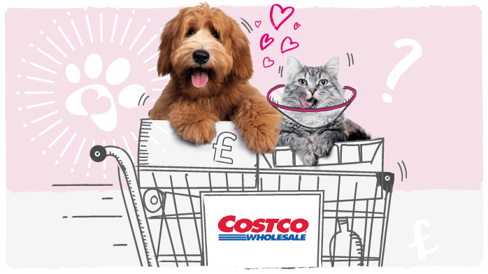 A dog and cat in an illustrated Costco shopping trolley