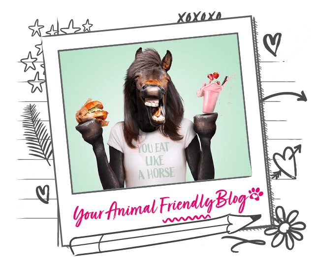 The Etymology of Horse Sayings Animal Friends