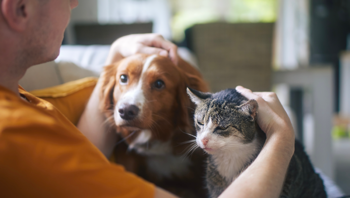 A cat and dog, both receiving attention from their human