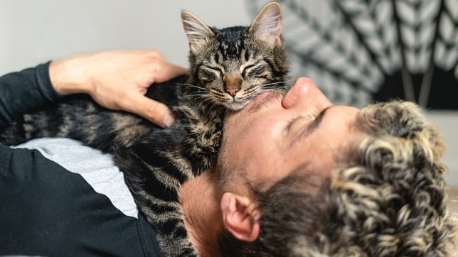 Cat sleeping on man's chest