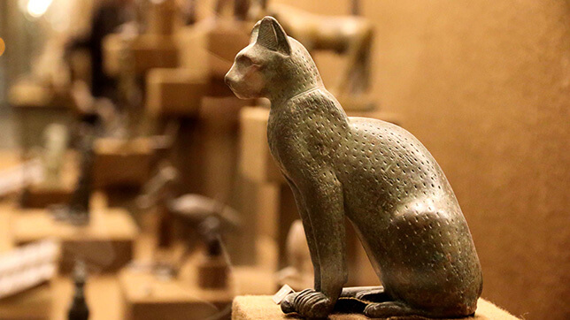 Cats throughout history