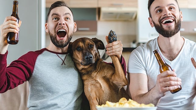 Watching sport with your dog!