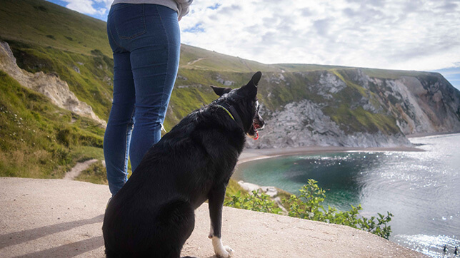 Dog and owner looking at a nice view