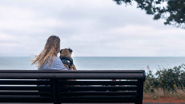 A person with their Terrier on a bench