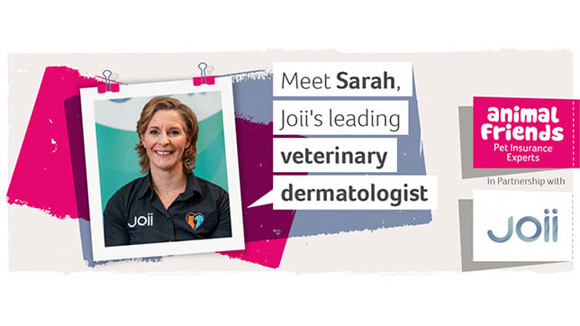 AFI_qa-with-sarah-warren-joii-co-founder-and-veterinary-dermatologist-992x405_600.jpg